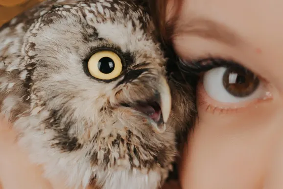 Casino Lucky Tiger Tacaíocht